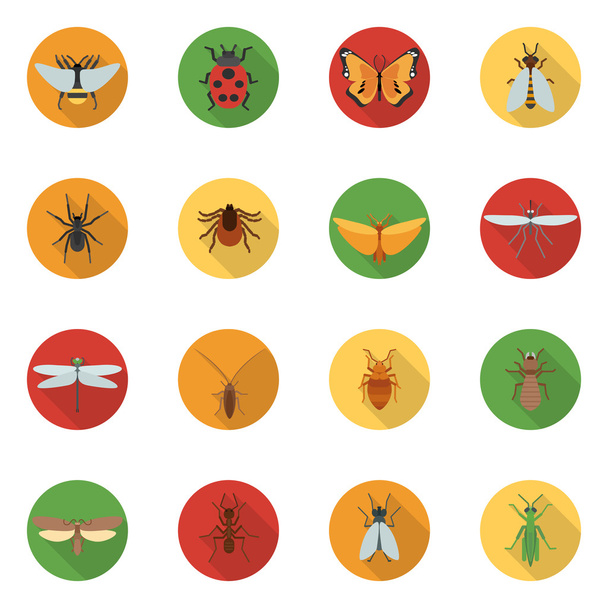 Insects Icons Flat - Vector, Image