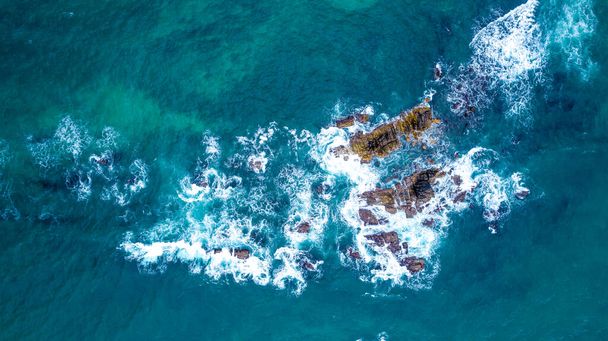 スリランカの島,ミリッサの美しいインド洋の海岸線. エアリアル写真. - 写真・画像