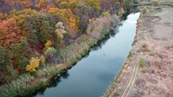 Vuelo aéreo hacia adelante por encima del río con vibrantes árboles de colores en las orillas del río. Otoño en el río Siverskyi Donets con aguas tranquilas en Ucrania - Metraje, vídeo