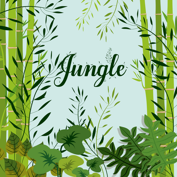Dschungel-Design - Vektor, Bild