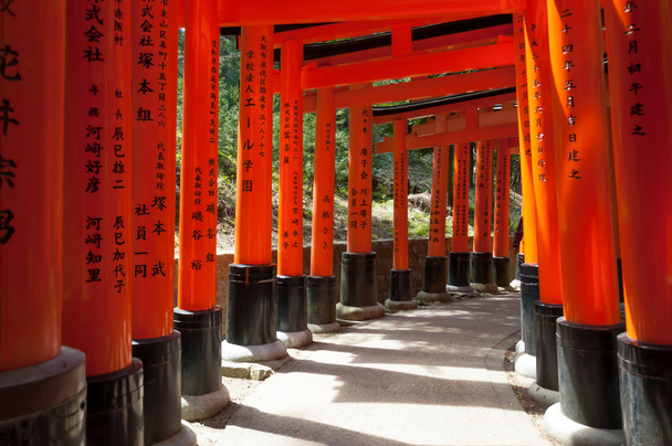  Puertas Torii en el Santuario Inari de Fushimi en Kyoto, Japón
 - Foto, Imagen