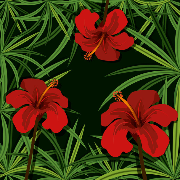 Jungle design - Vektor, Bild