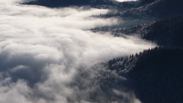 Vista aérea de las montañas de invierno con niebla en el Parque Nacional Ceahlau, Rumania - Imágenes, Vídeo
