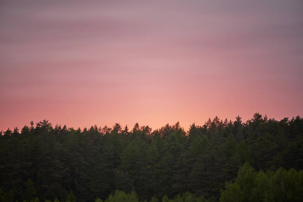 Der Abend endet mit einem farbenfrohen Schauspiel der Naturschönheit über dem ruhigen Wald. Der Horizont leuchtet in warmen Farben, als die Dämmerung über einen friedlichen Wald fällt. - Foto, Bild