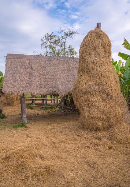 stack of straw or hay bales in a rural landscape - Foto, Imagen