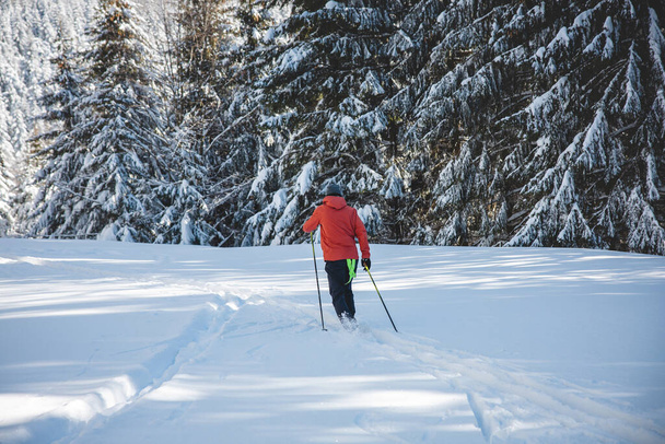 Jonge volwassen langlaufer van 20-25 jaar die zijn eigen piste maakt in diepe sneeuw in de wildernis bij zonnig weer in Beskydy Mountains, Tsjechië. - Foto, afbeelding