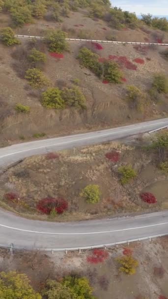 Auto crossover bianco va su strada serpentina di montagna. Vista aerea. Il drone sta seguendo il veicolo. Video verticale - Filmati, video