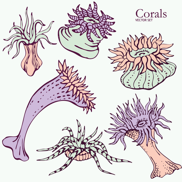Conjunto de corais
 - Vetor, Imagem