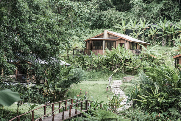 Erdő és üdülőházak az országban, Thaiföld. - Fotó, kép