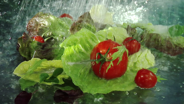 Washing salad leaves and tomatoes - Footage, Video
