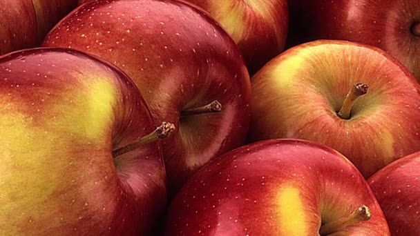 czerwone jabłka świeże - Materiał filmowy, wideo