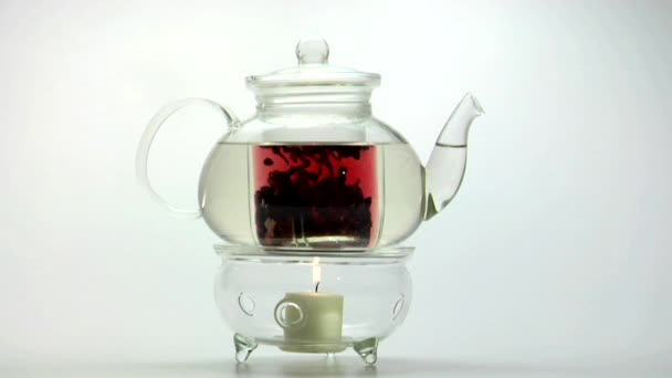 Glass teapot on warmer - Footage, Video