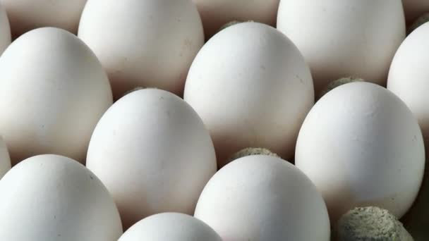 Huevos blancos en caja de huevo
 - Imágenes, Vídeo