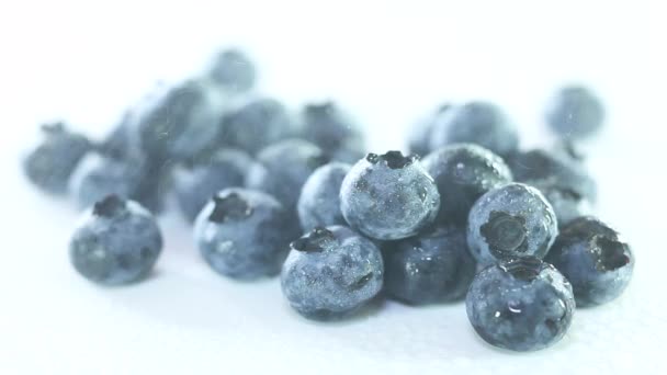 Spraying blueberries with water - Filmmaterial, Video