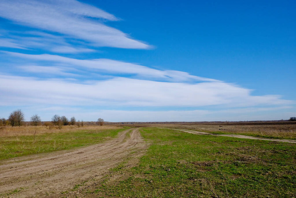 Una vista panoramica di una strada sterrata in un campo con un cielo blu. - Foto, immagini