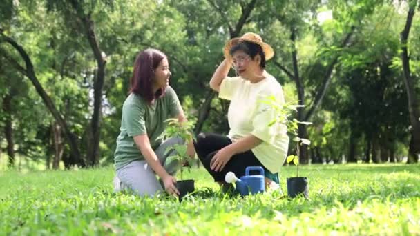 Freiwillige Freizeitaktivitäten einer asiatischen Mutter und erwachsenen Tochter, die in einem schattigen Garten Setzlinge als Souvenir pflanzen und dazu beitragen, die Waldressourcen zu vergrößern: Nationaler Tag der Bäume. - Filmmaterial, Video