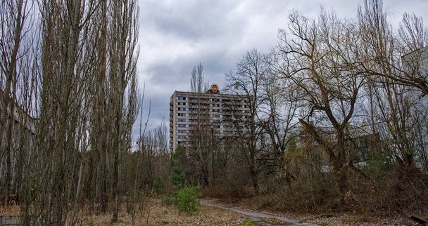 An old apartment building looms behind a forested area, under an overcast sky. - Photo, Image