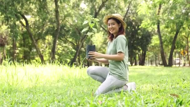 Boldog ázsiai női önkéntes ül kezében növény facsemeték fekete zsákban Készítsünk növény fák mentén város utcáin, hogy árnyékot és csökkenti a globális felmelegedés a világ fa ültetési napon. - Felvétel, videó