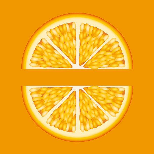fruit ontwerp  - Vector, afbeelding