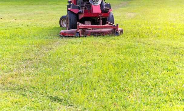 Closeup of mower cutting the grass in public park - Photo, Image