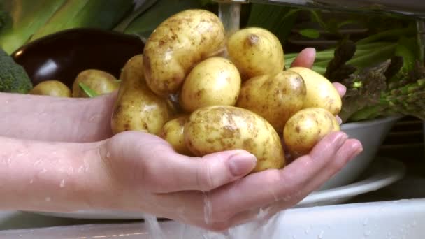 Kartoffeln unter fließendem Wasser - Filmmaterial, Video