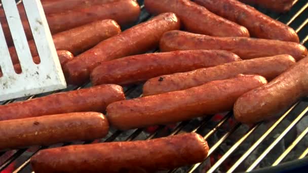 Sausages on a barbecue - Footage, Video
