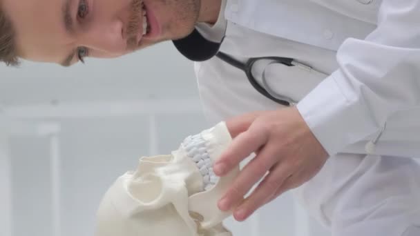 Increíblemente alegre joven y atractivo doctor sosteniendo un esqueleto de cráneo humano en sus manos. Un médico feliz y positivo en una clínica ortopédica moderna. Vídeo vertical - Imágenes, Vídeo