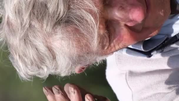 Ritratto di un vecchio nonno dai capelli grigi che si fissa i capelli con la mano e guarda la macchina fotografica. Il vecchio ha 90 anni. Video verticale - Filmati, video
