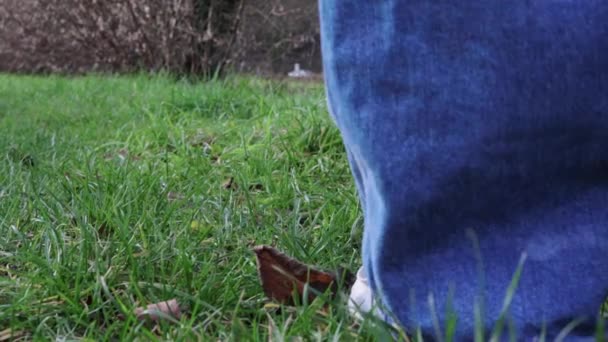 Young woman wearing blue jeans and white sneakers walking on green grass at sunny day back view close-up. Walk on green field outdoor. High quality FullHD footage - Footage, Video
