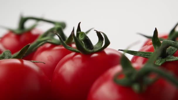 Pomidory obracają się na białym tle. Dojrzałe pomidory wiśniowe z bliska. - Materiał filmowy, wideo