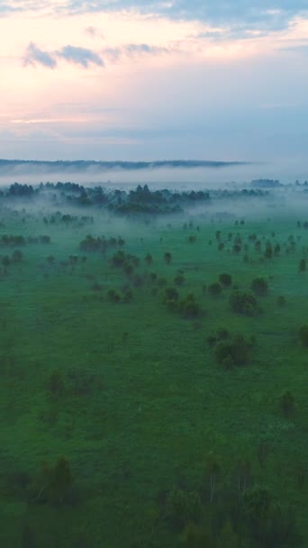 Repül a zöld mező felett, és a fák ködben. Légi felvétel. Meleg árnyalat. Függőleges videó - Felvétel, videó