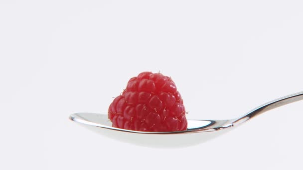 Raspberry and cream on spoon - Footage, Video