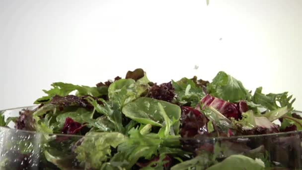 Sprinkling salad leaves with cheese - Footage, Video