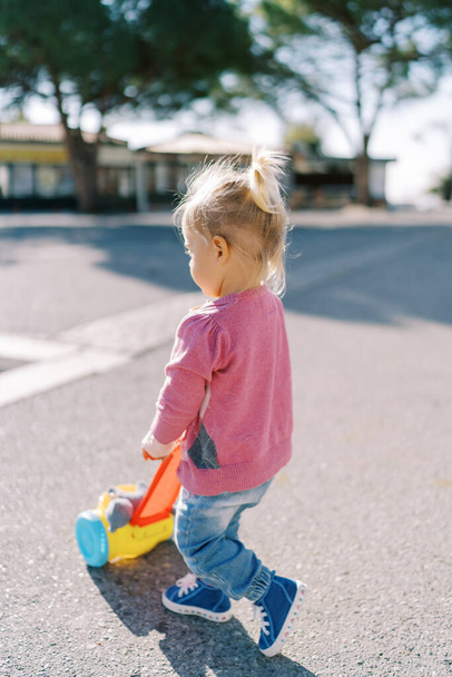 La niña empuja un carro de juguete por el camino en el parque. Vista trasera. Foto de alta calidad - Foto, imagen