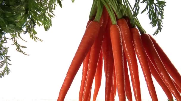 Ένα μάτσο καρότα με φύλλα - Πλάνα, βίντεο