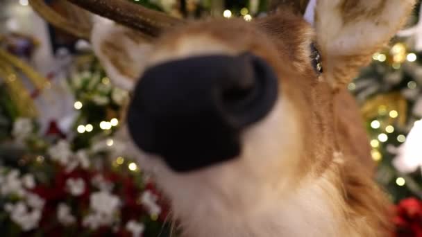 Букіт Бінтан, Куала-Лумпур, Малайзія - 22 листопада 2023 р.: Прикраса очей оленів під час Різдва - Кадри, відео