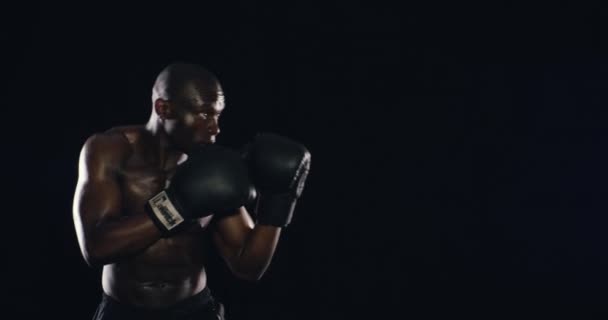 Αθλητής, πυγμάχος ή Αφρικανός μποξέρ σε στούντιο με δυνατότητα γυμναστικής ή ευεξίας σε μαύρο φόντο. Ενέργεια, μαχητής του αθλητισμού ή ισχυρός άνδρας punching στην προπόνηση, την καταπολέμηση της κατάρτισης ή την καταπολέμηση της άσκησης. - Πλάνα, βίντεο