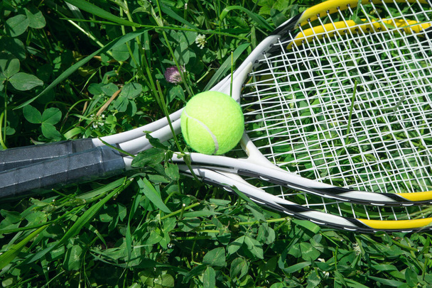 Tennis pallo ja maila vihreä ruoho tausta. - Valokuva, kuva