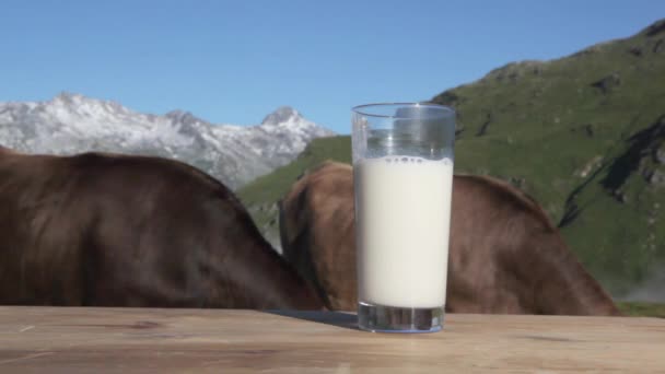 Bir bardak süt ve inekler - Video, Çekim