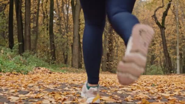 Doğayla Koşu: Sonbaharda Sarı Yaprak Yolu 'nda Kadın Fitness Yolculuğu. Yüksek kalite 4k görüntü - Video, Çekim