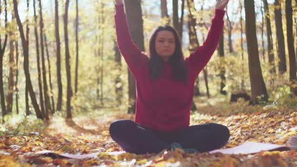 Asana autunnale: Creare un arazzo del benessere attraverso lo yoga tra le foglie di ruggine. Filmati 4k di alta qualità - Filmati, video