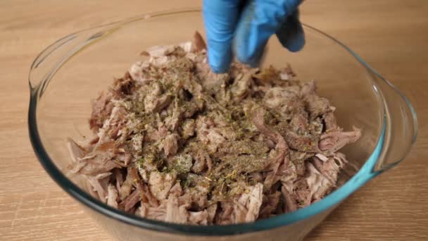 Salt and spices are added to the meat. Preparation of meat dishes. - Footage, Video