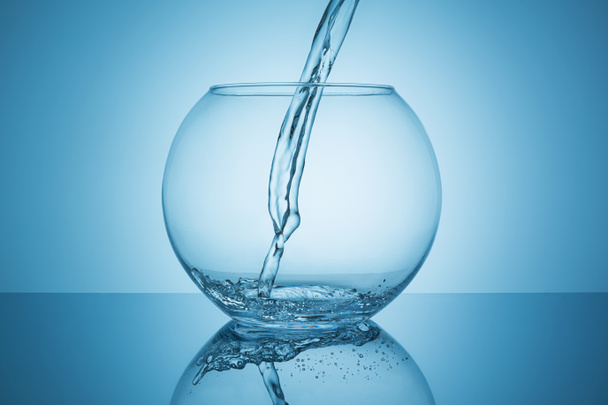 Vul een fishbowl - Foto, afbeelding