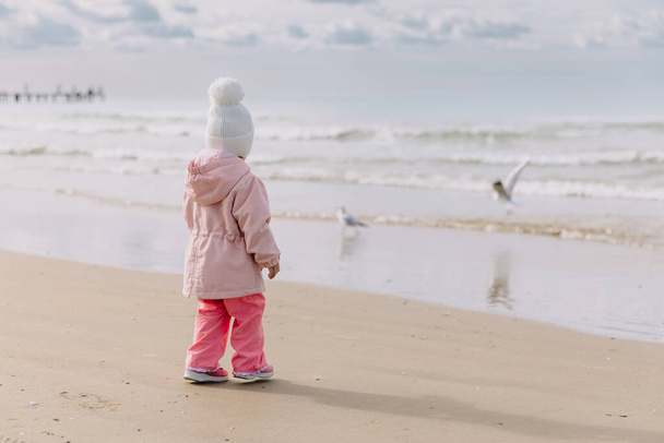Kislány, aki a tengerparton sétál és sirályokat néz. Kalifornia téli ünnepek koncepciója. - Fotó, kép