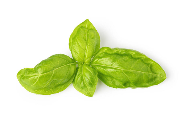 feuilles de basilic vert frais isolées sur fond blanc - Photo, image