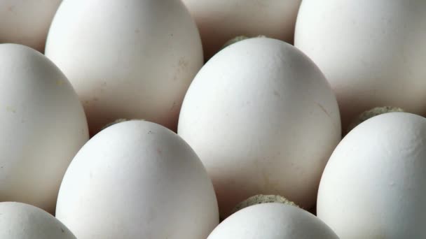 Ovos brancos em uma bandeja de ovo
 - Filmagem, Vídeo