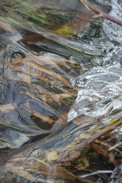 Plant parts flowing under a whirling Water - Photo, Image