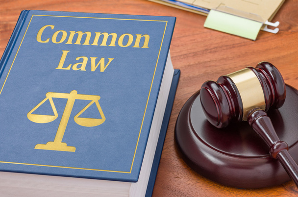Een boek van de wet met een hamer - Common law - Foto, afbeelding