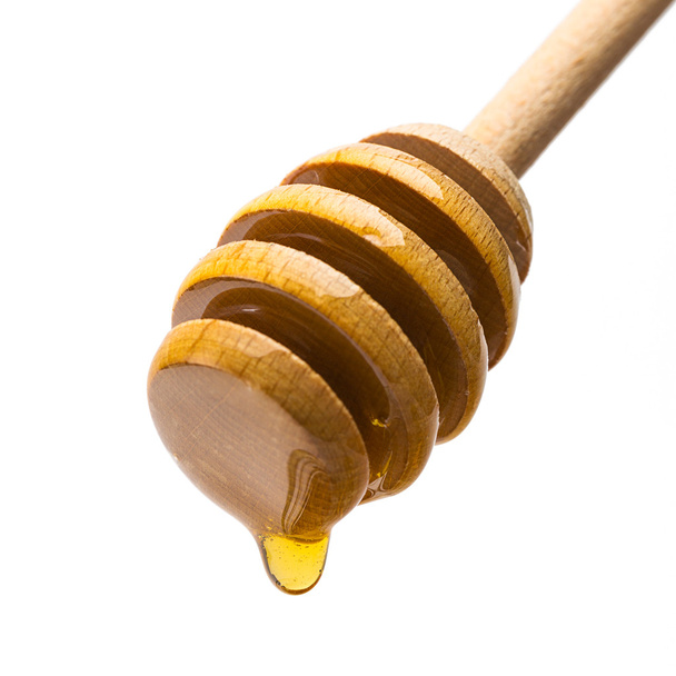 Druppel honing op een beer honing - Foto, afbeelding