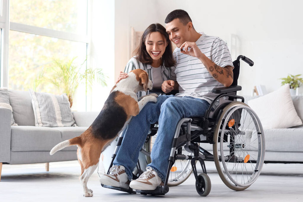 Jongeman in rolstoel en zijn vrouw met Beagle hond thuis - Foto, afbeelding